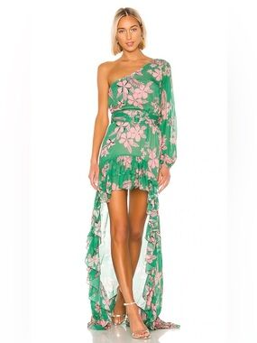 Alexis Jules dress in island floral